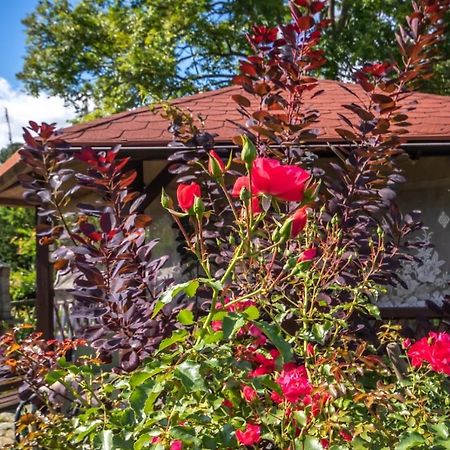 Apartamento U Rybaka Braniewo Exterior foto
